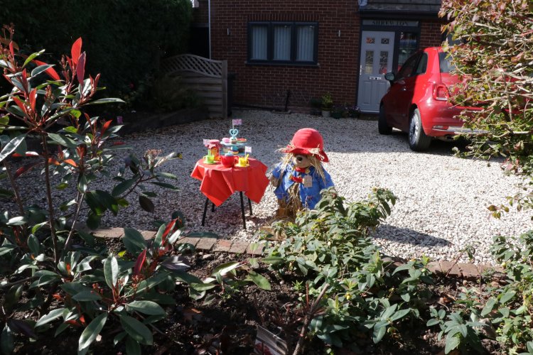 image of scarecrow