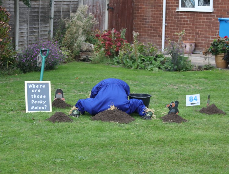 image of scarecrow